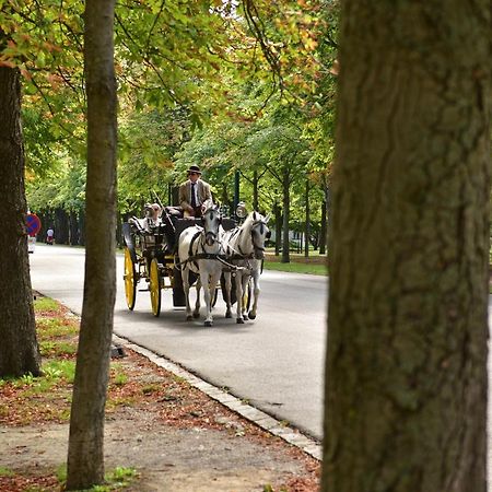 Herzlich Willkommen - Kuess Die Hand 3 Vienna Esterno foto